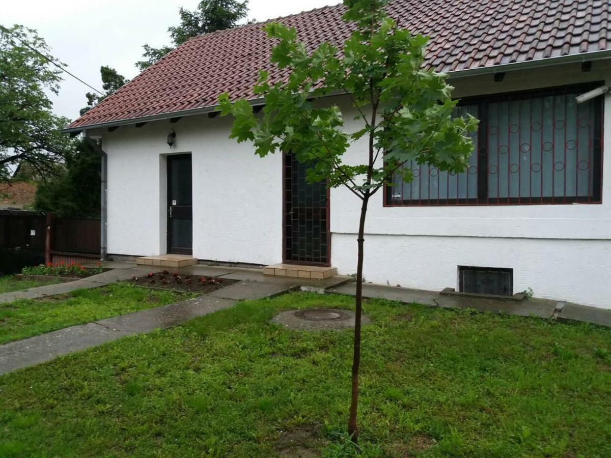 Apartman Romy Pančevo 外观 照片