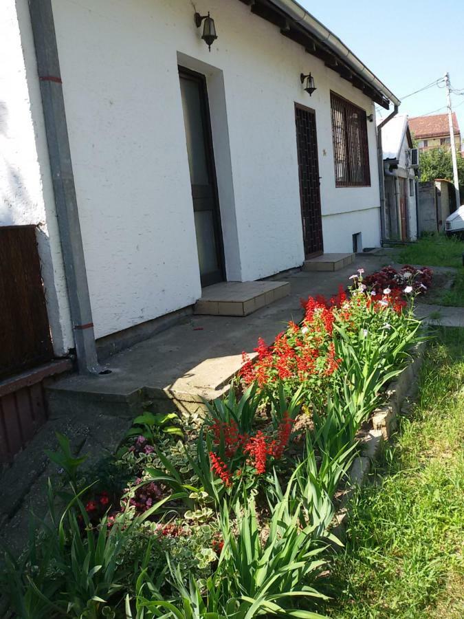 Apartman Romy Pančevo 外观 照片